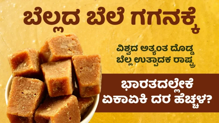 Jaggery Price Hike In India