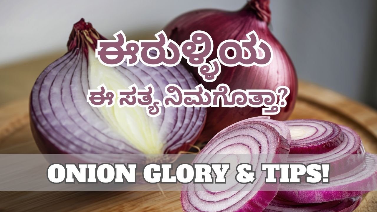 Onion Glory